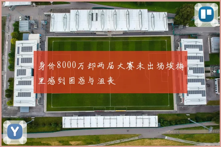 身价8000万却两届大赛未出场埃梅里感到困惑与沮丧